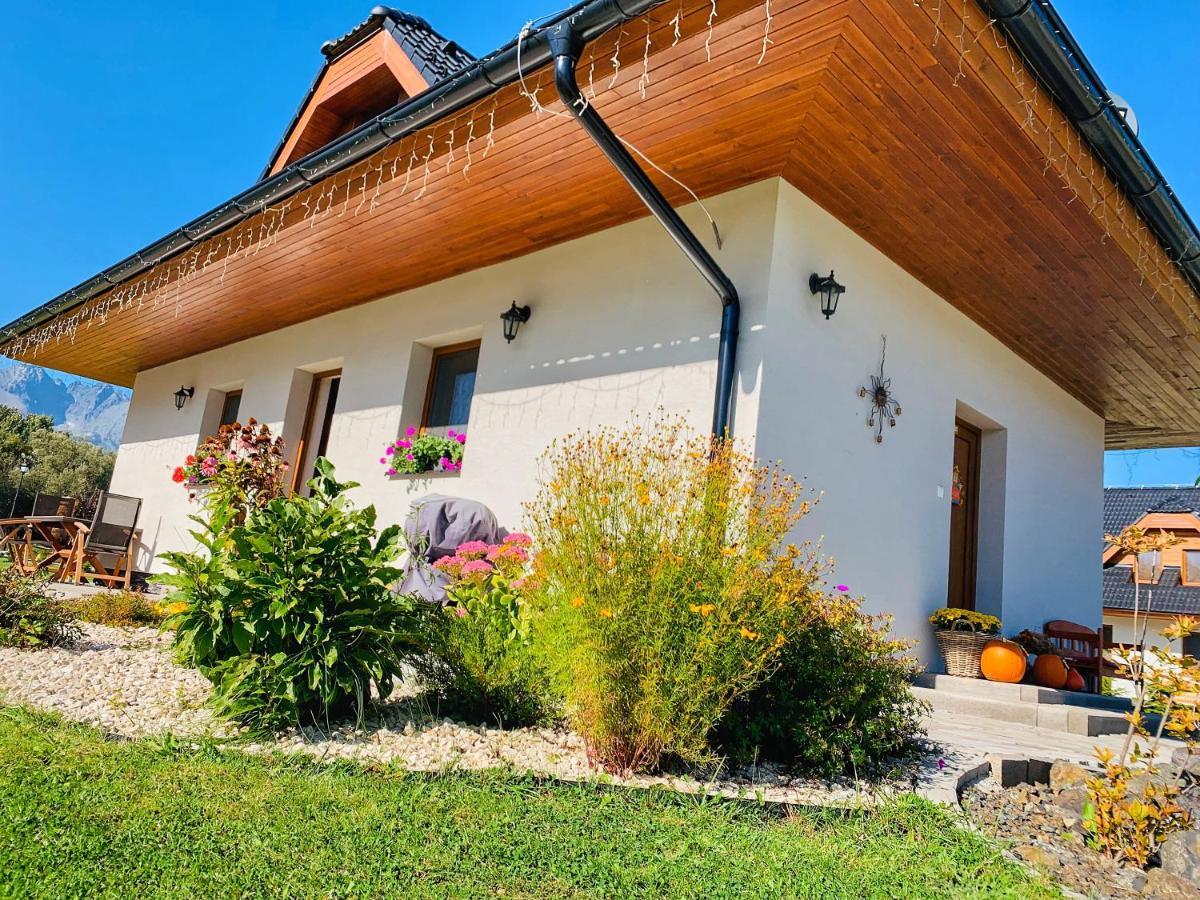 Villa Zoja High Tatras สตารา เลชนา ภายนอก รูปภาพ